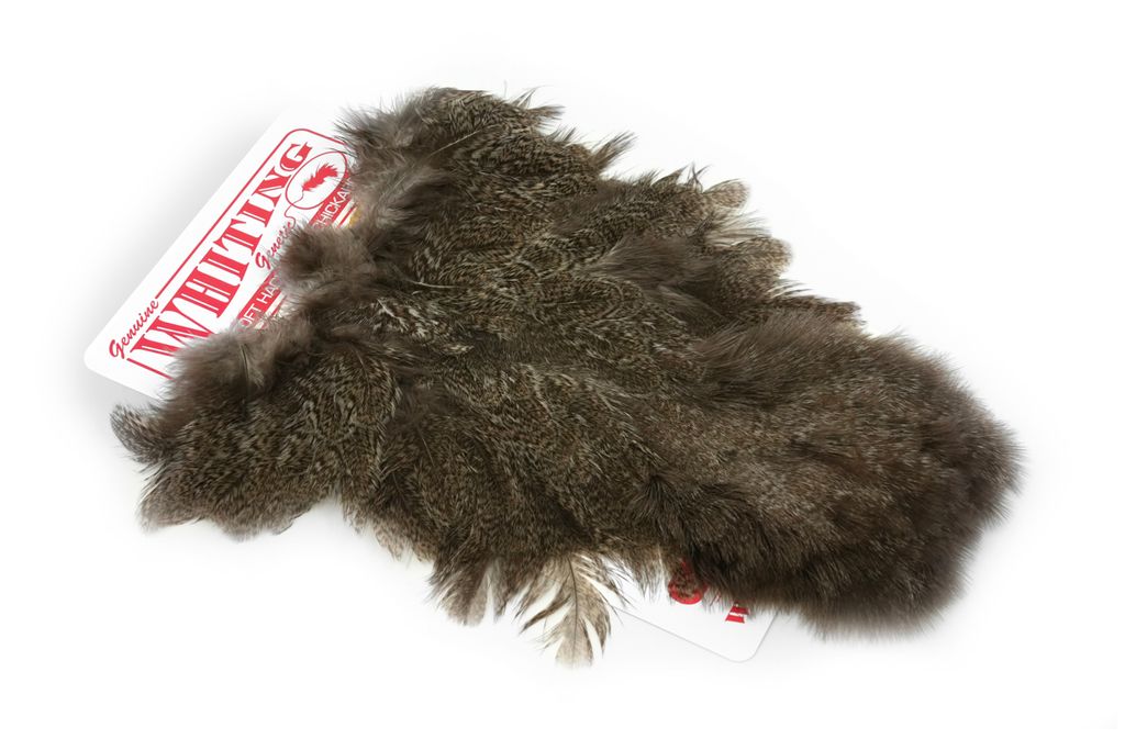 Whiting Coq De Leon Hen Soft Hackle With Chicabou - 13
