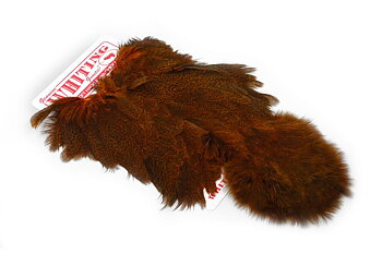 Whiting Coq De Leon Hen Soft Hackle With Chicabou