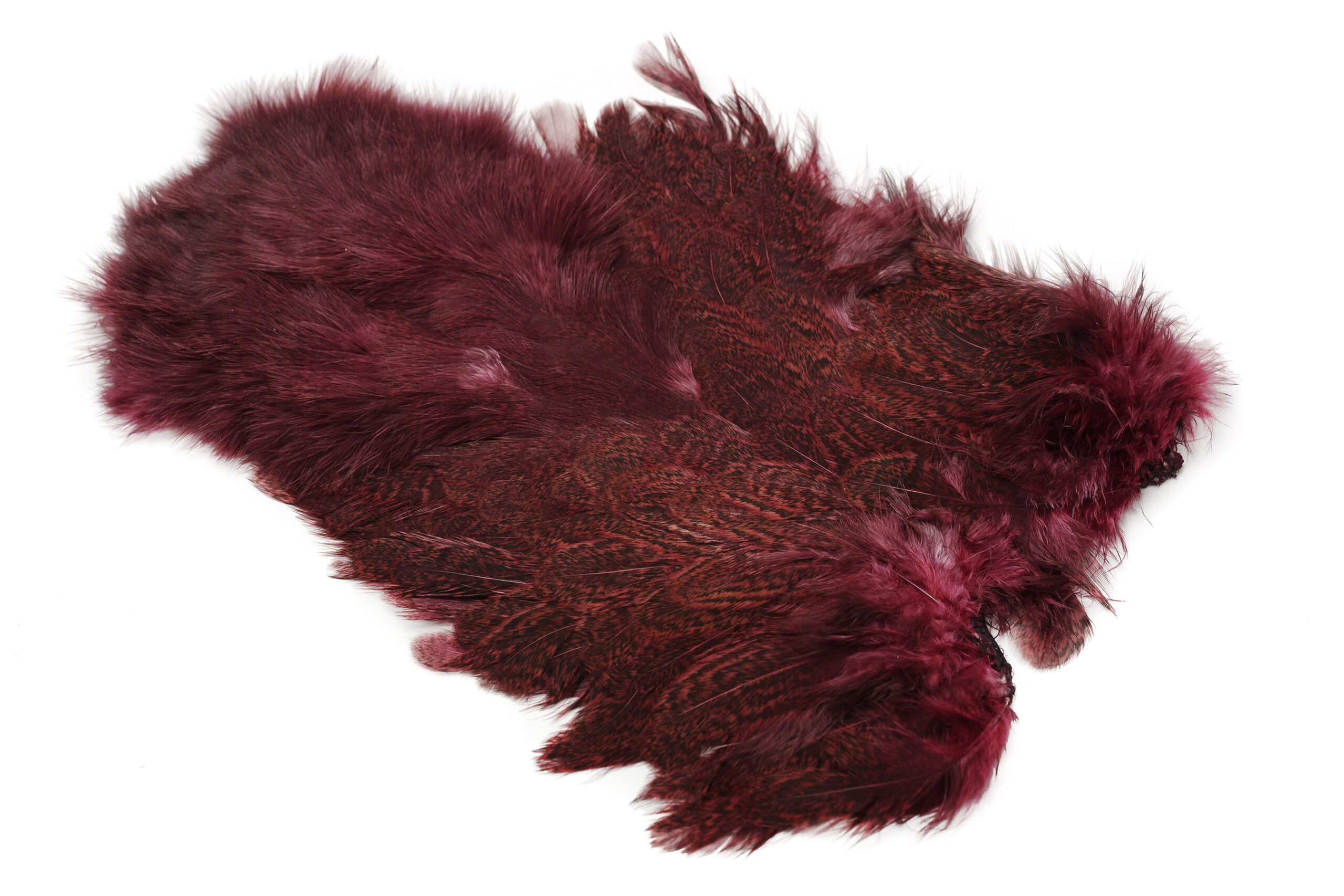Whiting Coq De Leon Hen Soft Hackle With Chicabou - 8