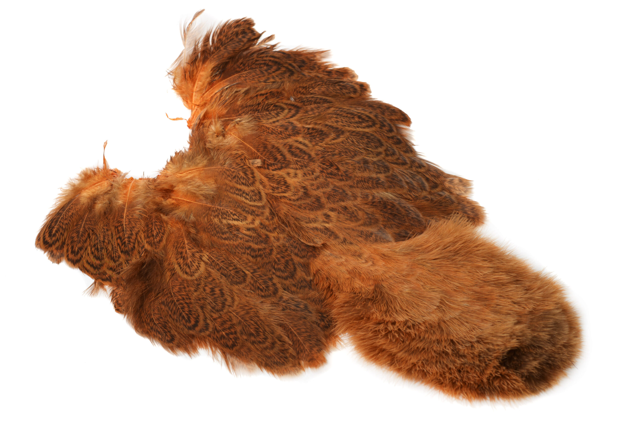 Whiting Coq De Leon Hen Soft Hackle With Chicabou - 7