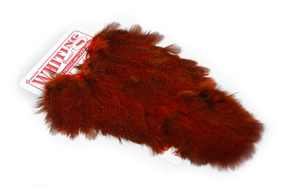 Whiting Coq De Leon Hen Soft Hackle With Chicabou - 17