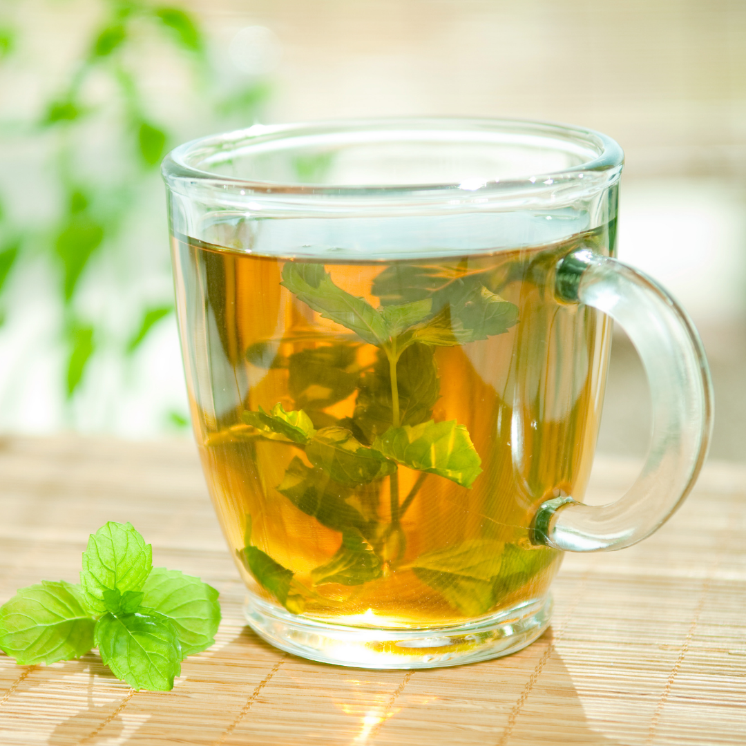 Grönmynta - Spearmint