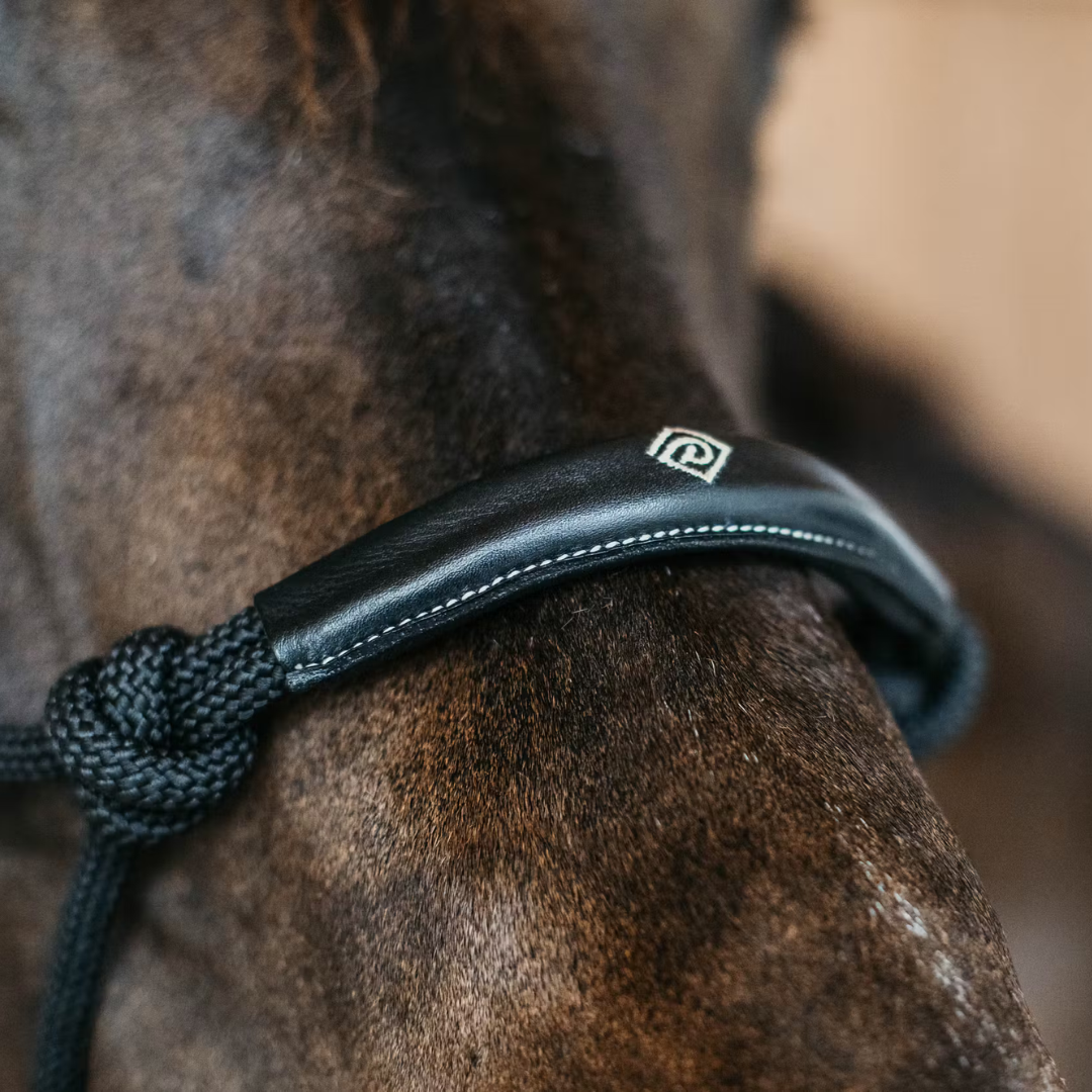 DYON TRAINING HALTER REPGRIMMA - 2