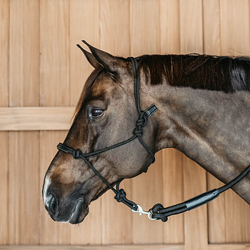 DYON TRAINING HALTER REPGRIMMA