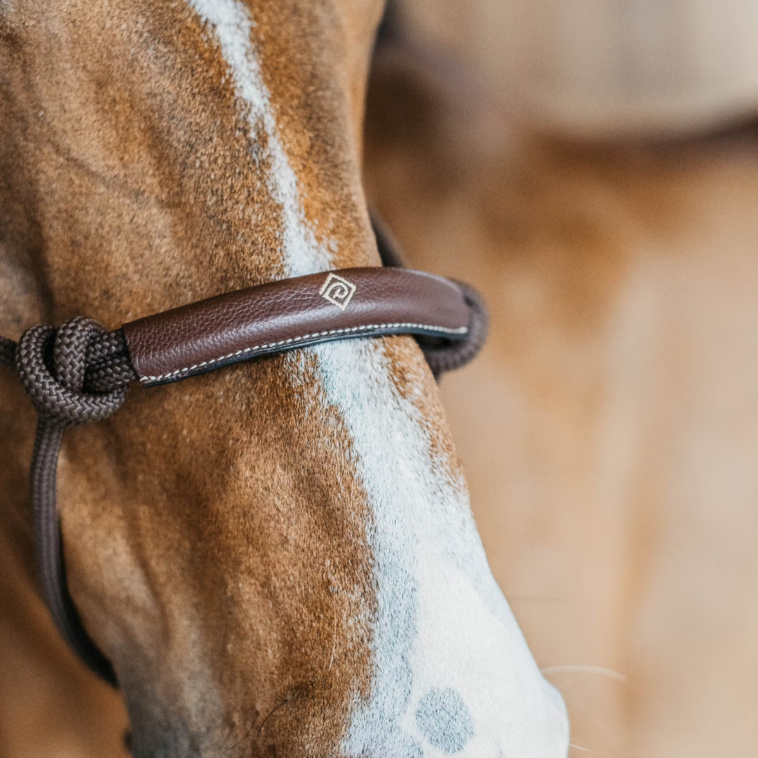 DYON TRAINING HALTER REPGRIMMA - 4