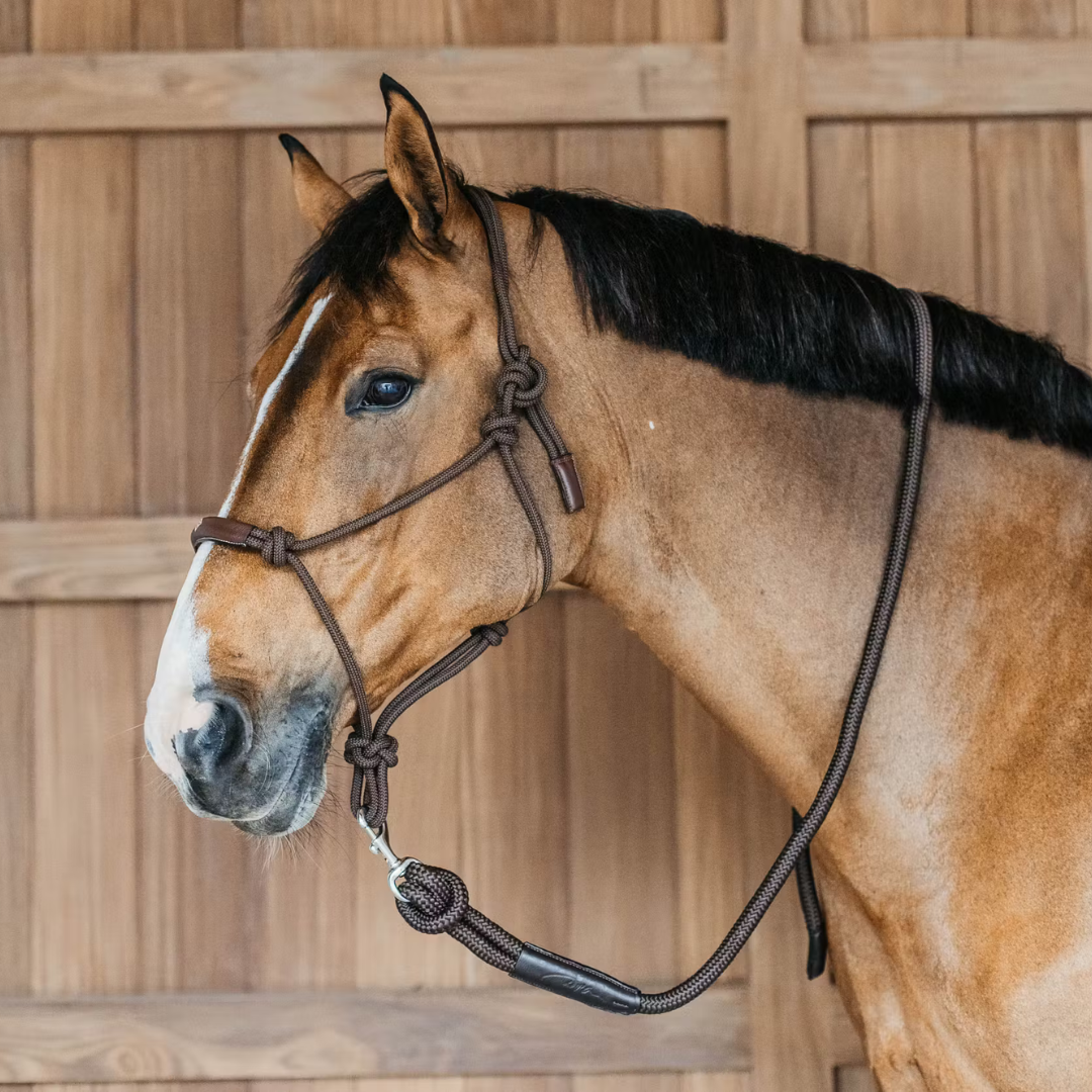 DYON TRAINING HALTER REPGRIMMA - 3