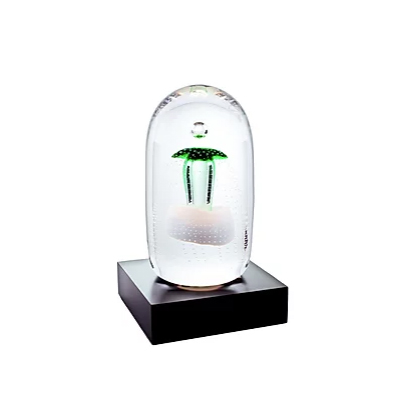 Winter Garden Grön Ltd ed 11 ex. 