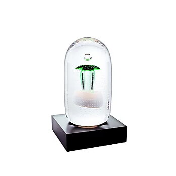 Winter Garden Verde Ltd ed 11 ex.