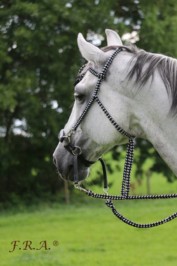 F.R.A® Bodanza bridle incl. reins - 6