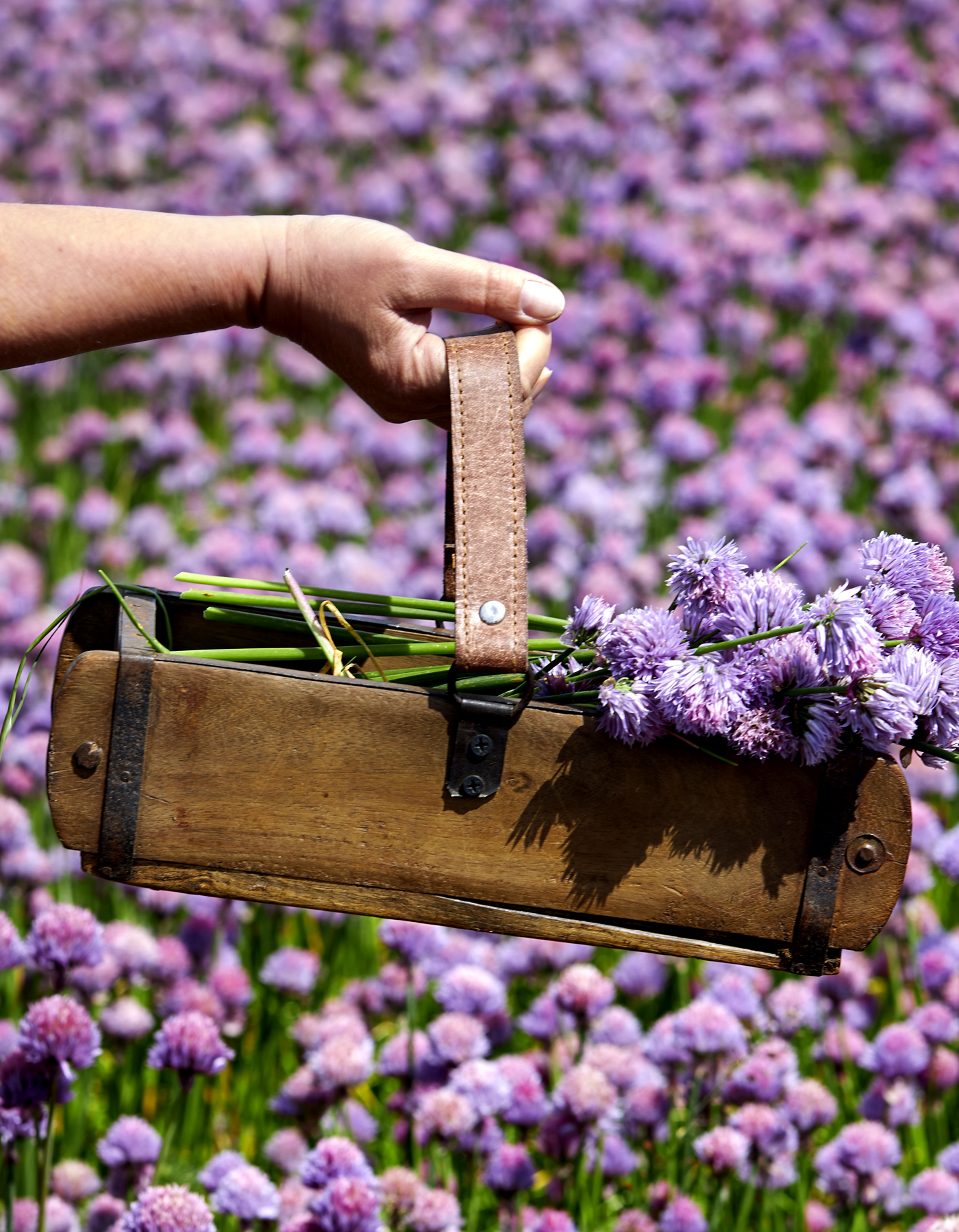 Wooden box - Brick shape with leather handle