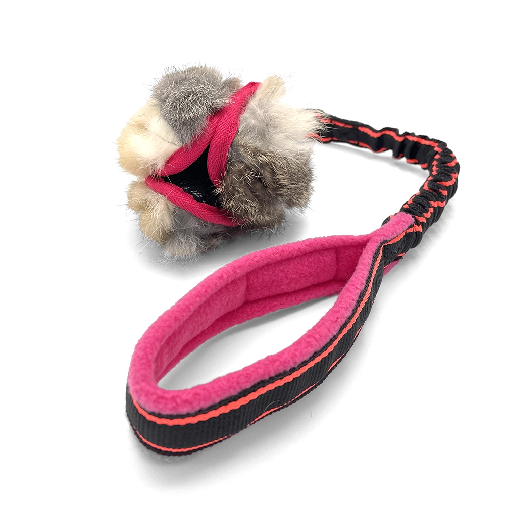 PawsPocket lotusboll med elastiskt handtag - 10