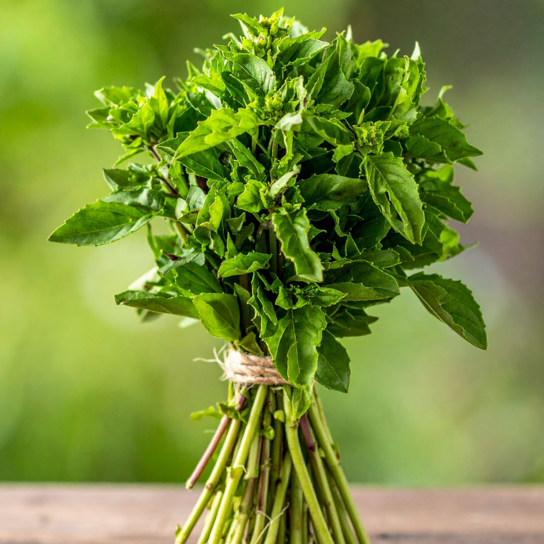 Helig Basilika - Holy Green