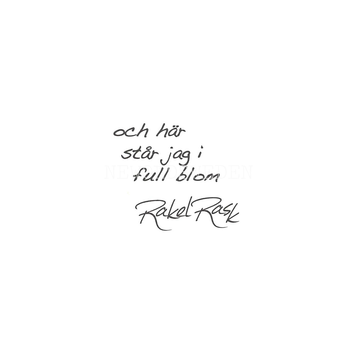 Rakel Rask No 16 Konstkort - 395 - 2