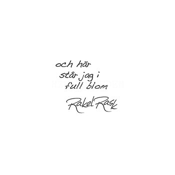 Rakel Rask No 16 Konstkort - 395