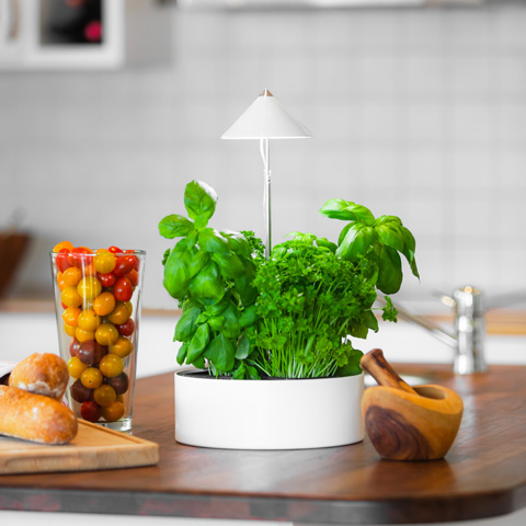 SUNLITE miniHERB S-230 - 2