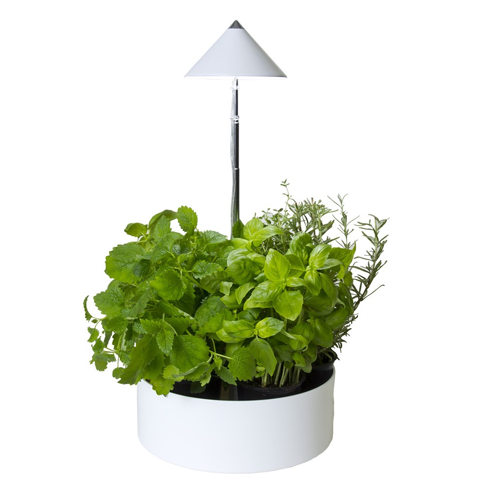 SUNLITE miniHERB S-230 - 4