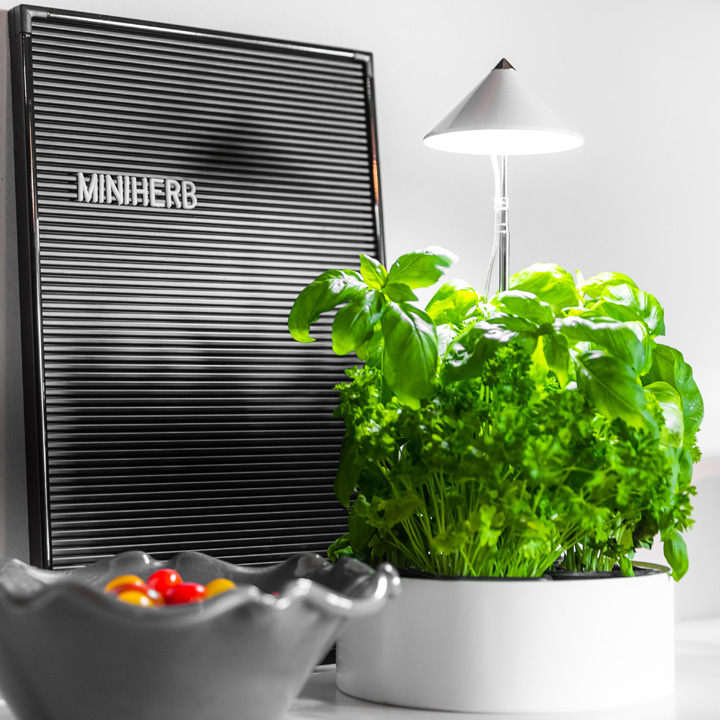 SUNLITE miniHERB S-230 - 3