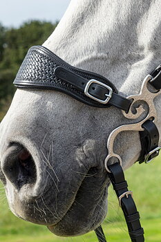 Hackamore shanks F.R.A® Barco, gold