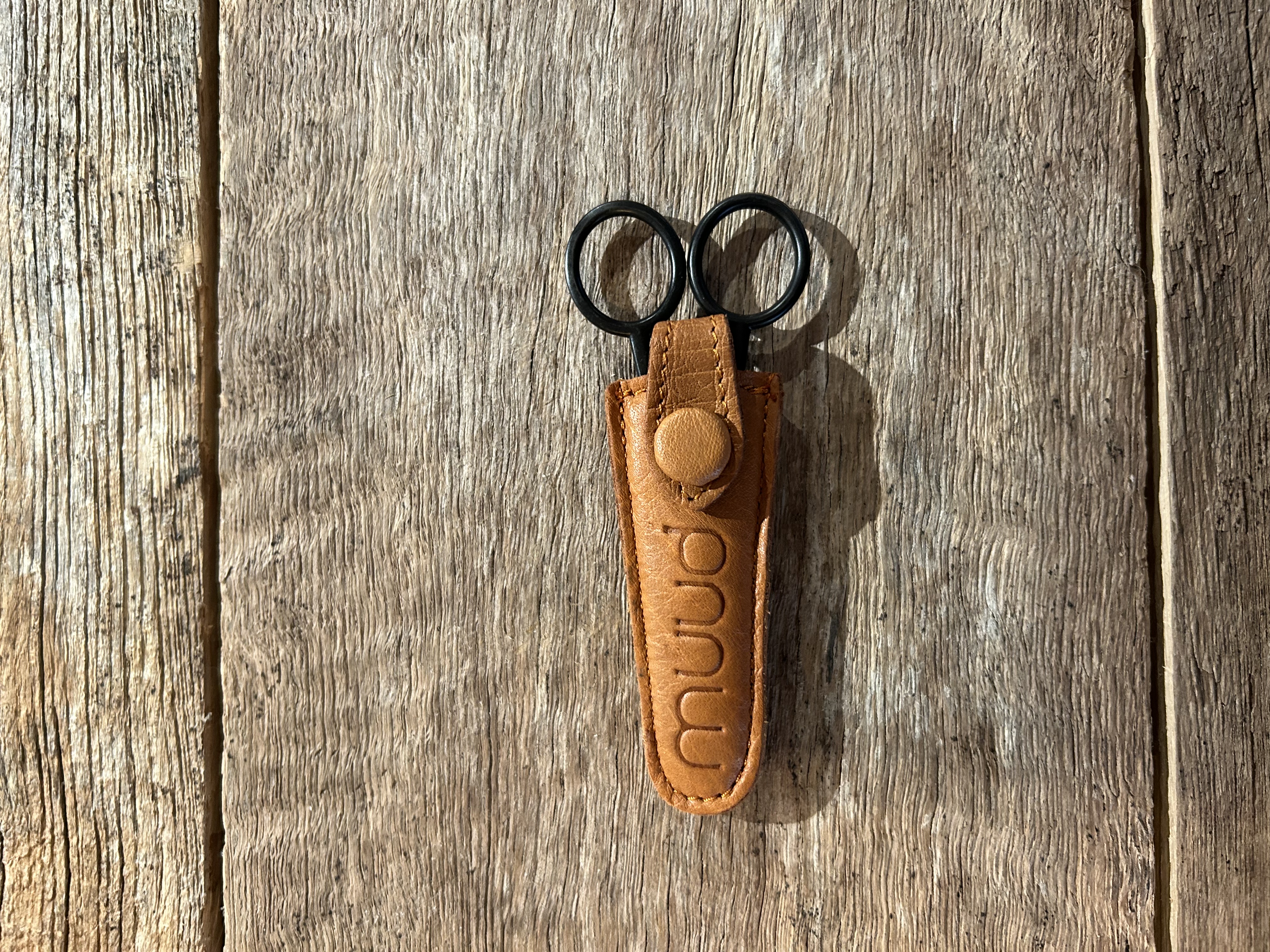 Scissors and a case for them - 2