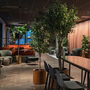Clarion hotels