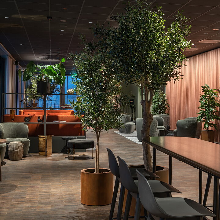 Clarion hotels