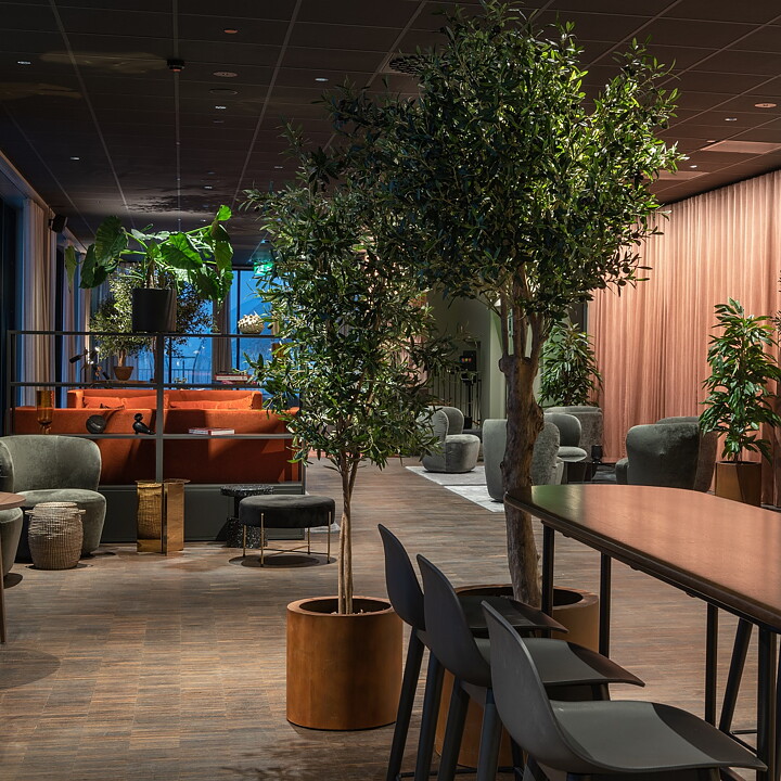 Clarion hoteles