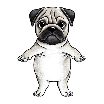 Prince the Pug