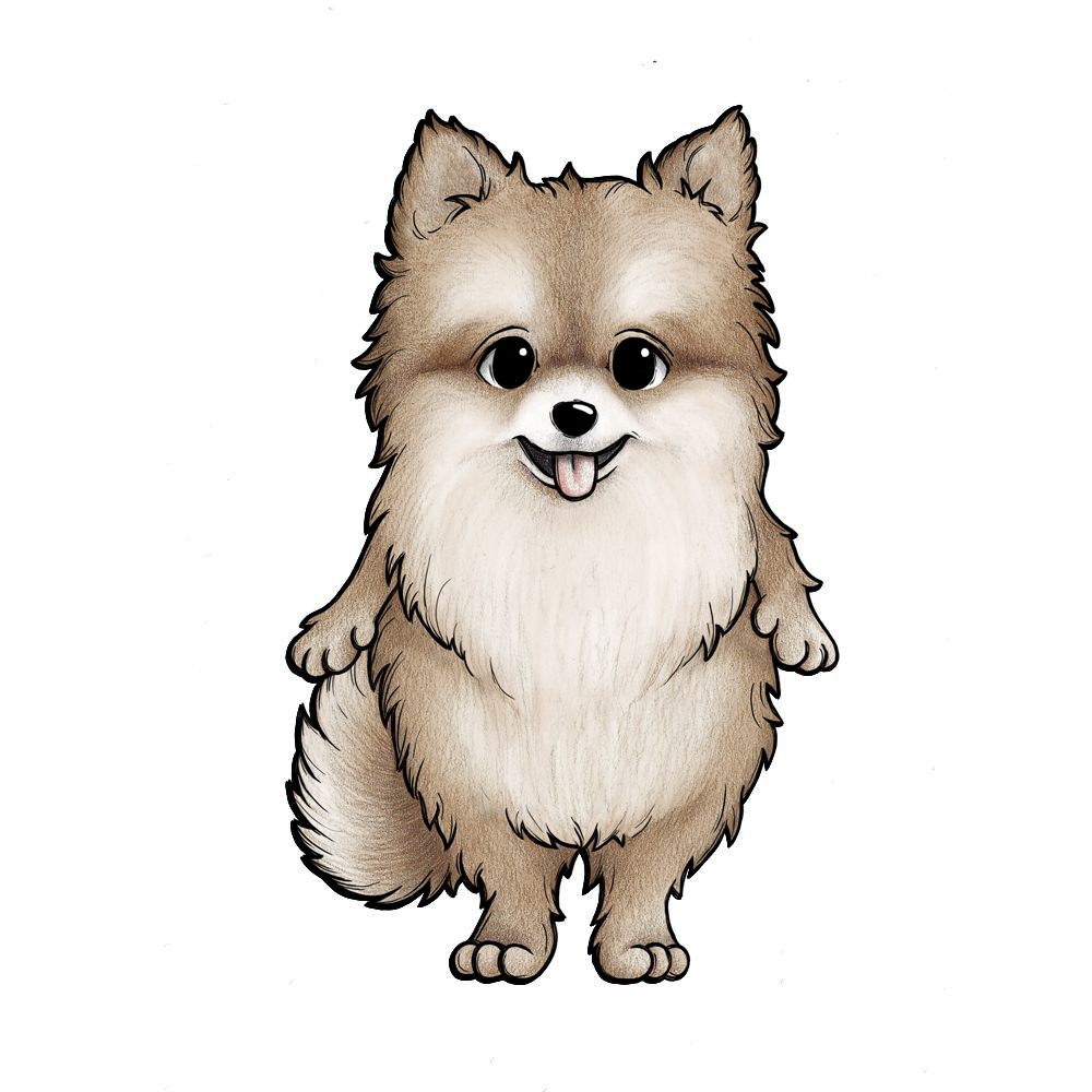 Honey the Pomeranian