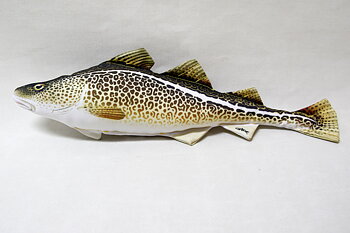 Torsk kudde 38x12 cm