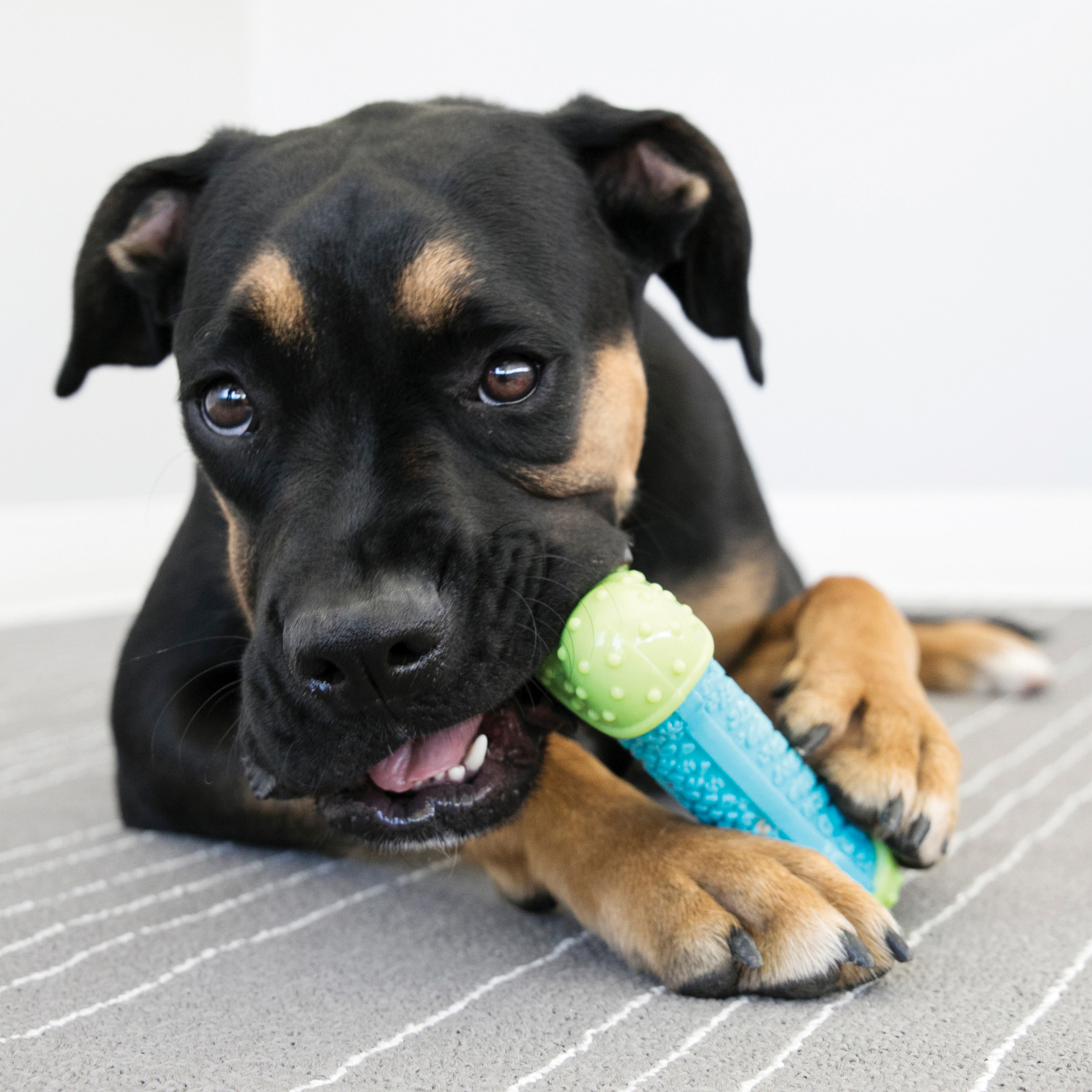 Kong CoreStrength Bone - 2