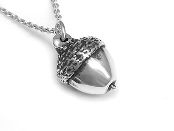 Ekollon Halsband, Natur Smycke i Silver