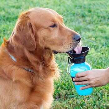 Hund dricker ur vattenflaska för hund