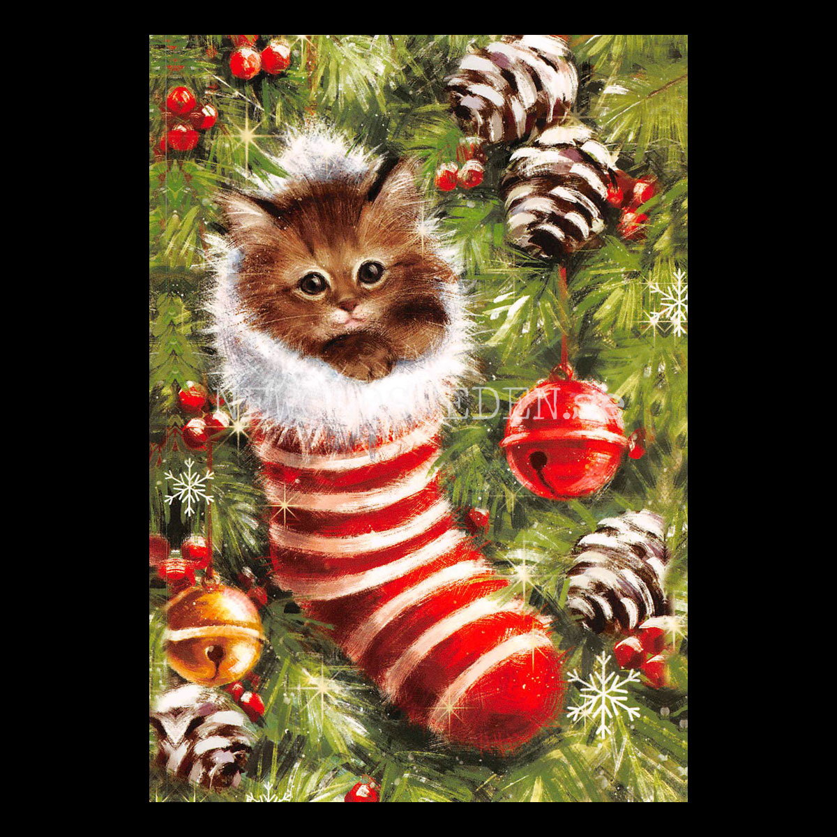 Katten i julstrumpan - Julkort A6 - 970 PA22