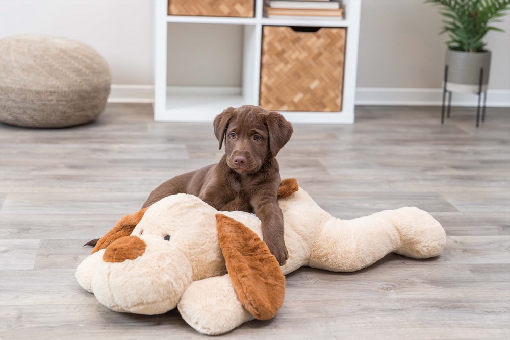 Trixie Stor Hund Soft Plysch 75cm Beige/Brun - 6