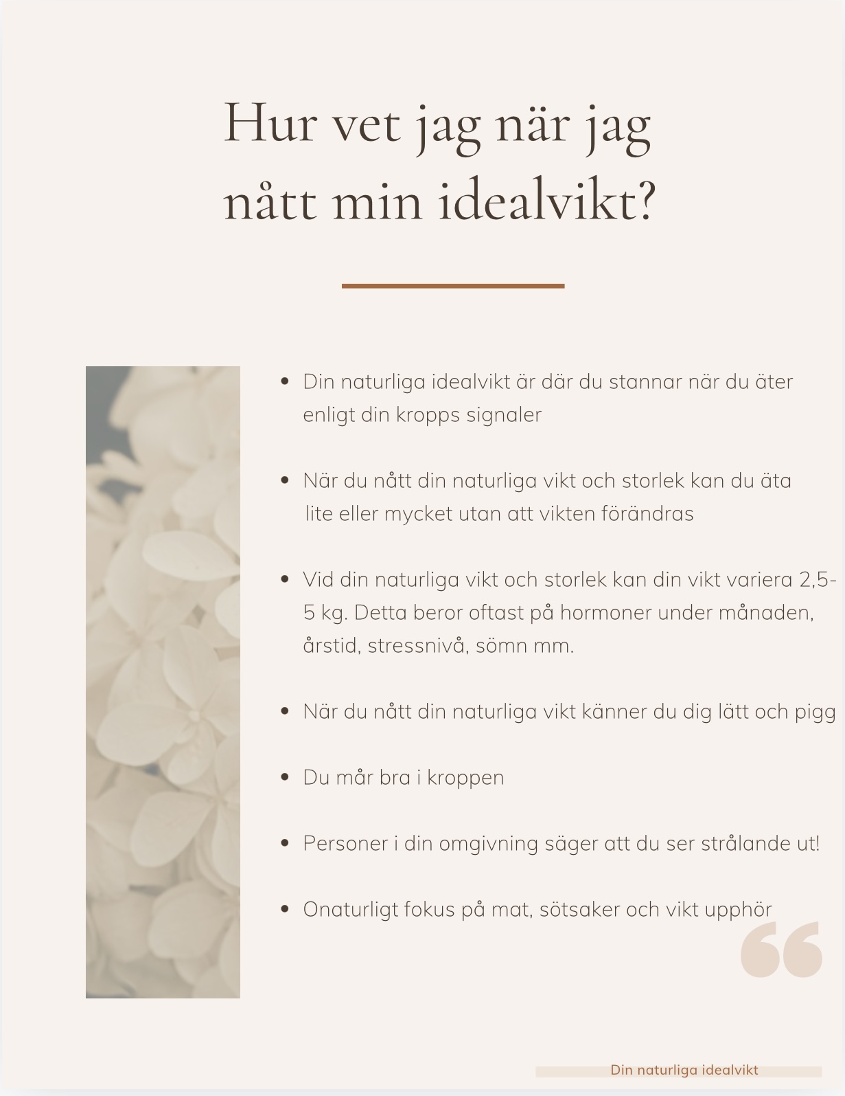 Din Naturliga Idealvikt  - 2