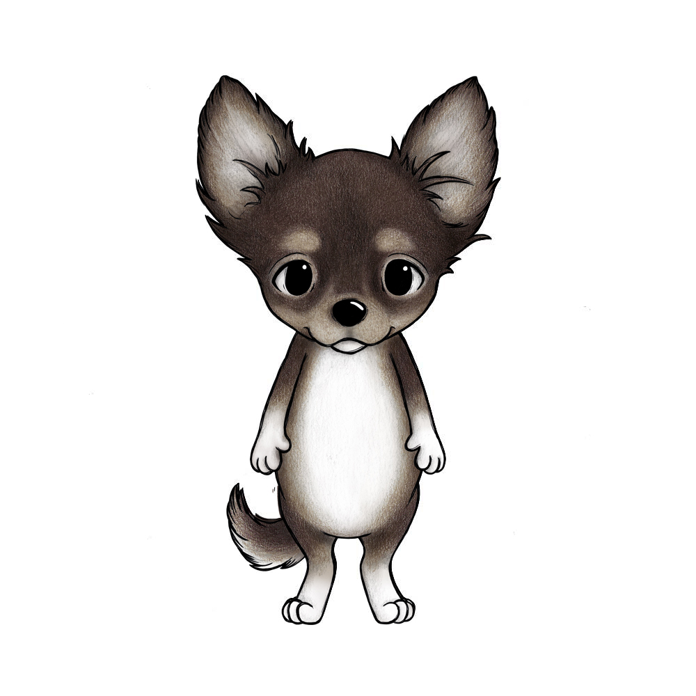Chihuahuan Chica