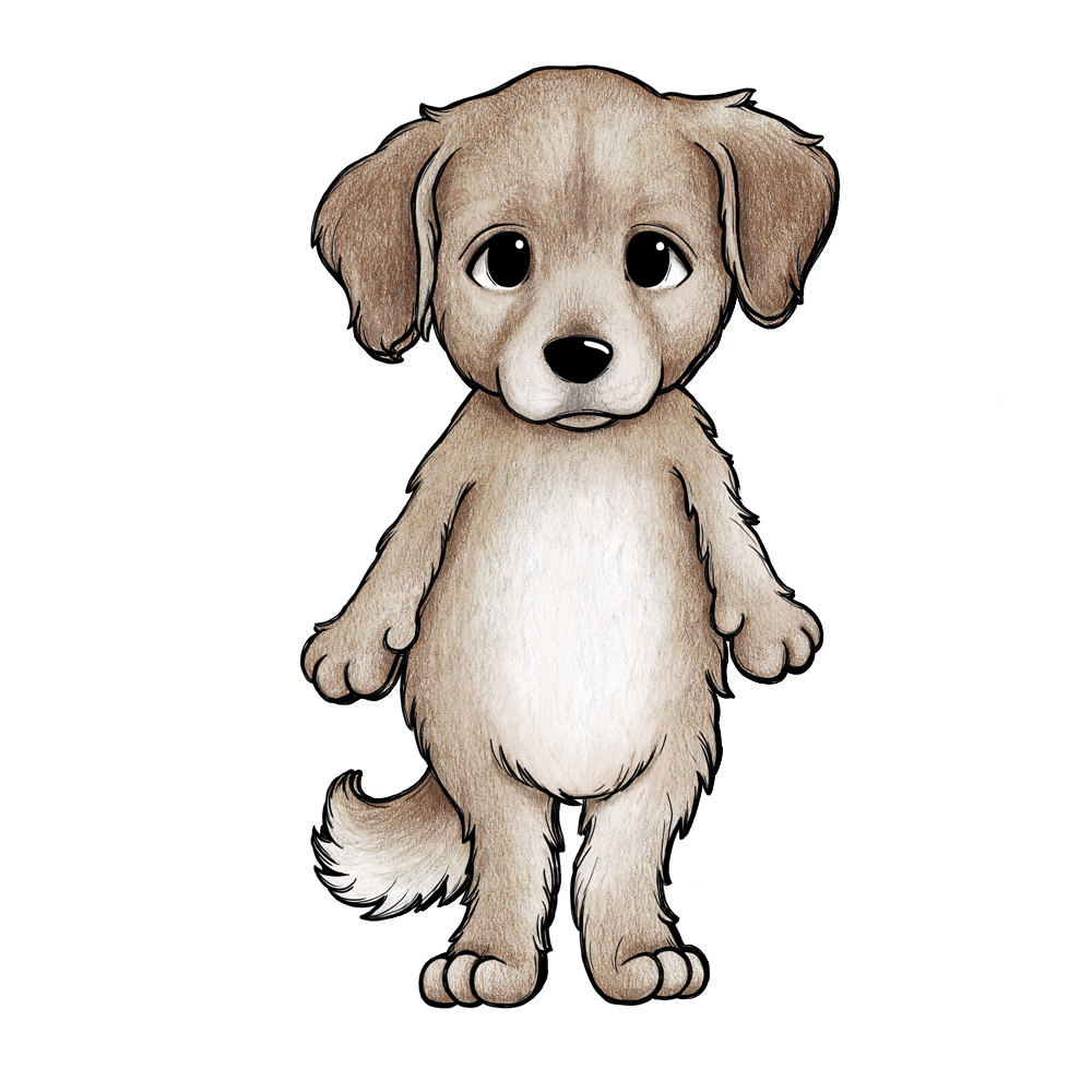 Golden retrievern Caramel