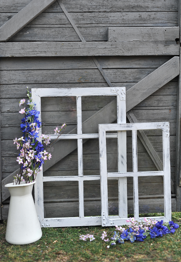 Delphinium - 90 cm - Lila - 8