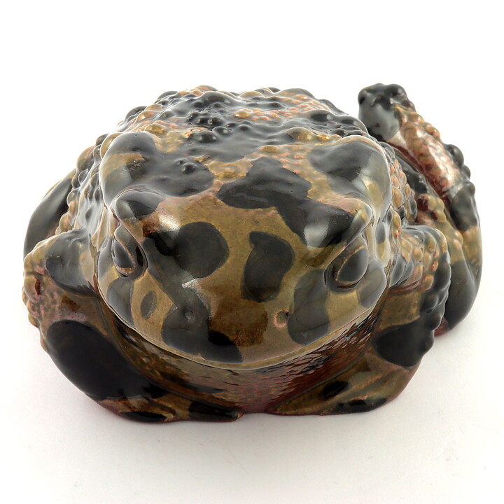 Paul Hoff (WWF 1980s) Eye-Catching European Green Toad <with Box>