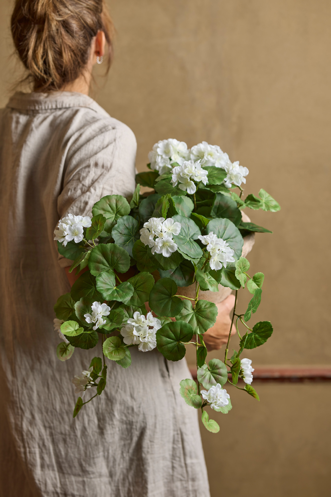 Hanging geranium - White - 50 cm