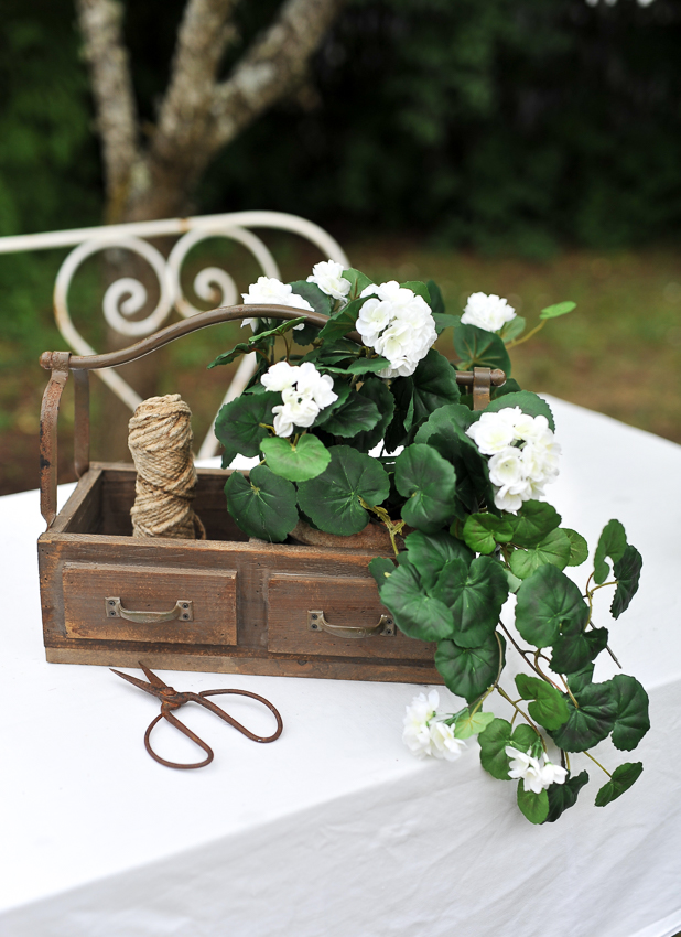 Hanging geranium - White - 50 cm - 2