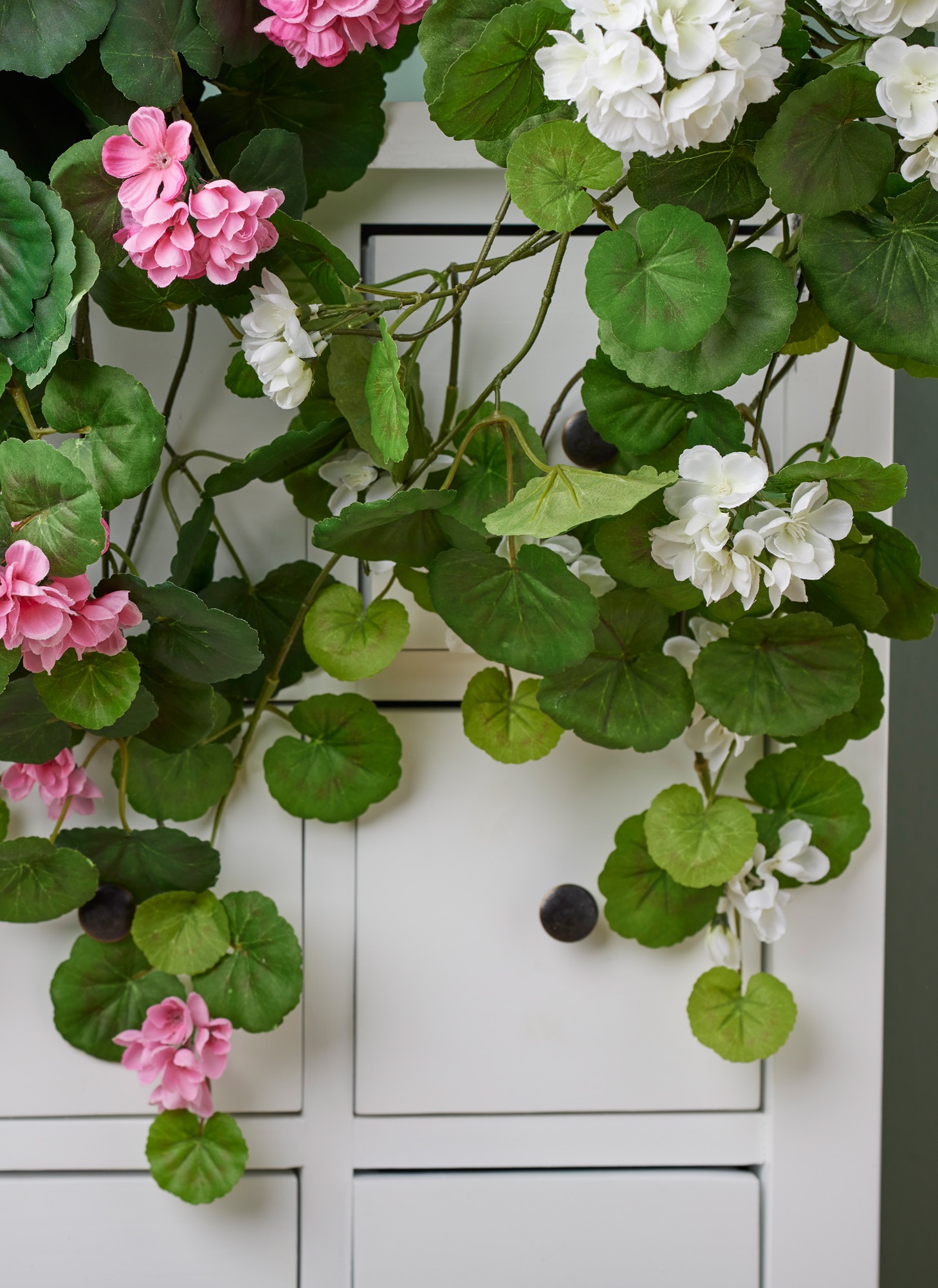 Hanging geranium - White - 50 cm - 3