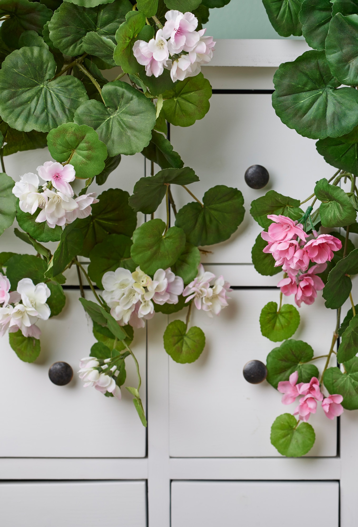 Hanging geranium - Light pink - 50 cm