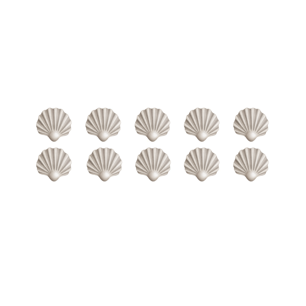 Shells in beige