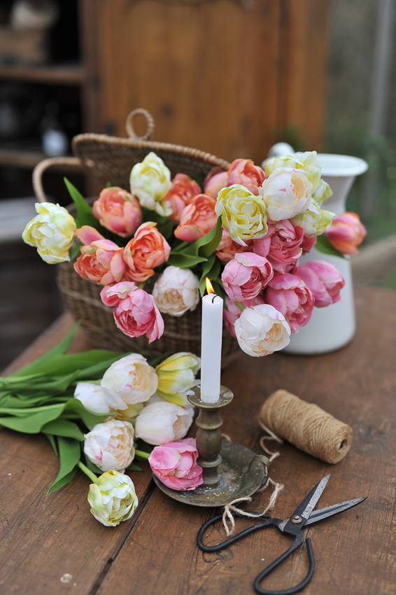 Tulip - White - 36 cm - 4