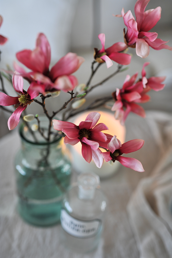 Magnolia - Dark Pink - 50 cm - 4