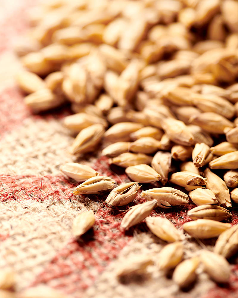 Pilsner Malt (Weyermann®), whole, pallet 33x25 kg - 3