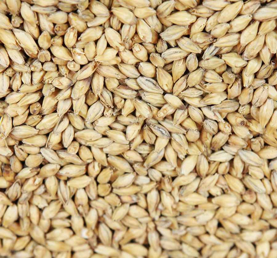 extra pale premium pilsnermalt (Weyermann®), hel, pall 33x25 kg - 2