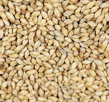 Extra pale premium pilsnermalt Weyermann®, hel malt, pall 33x25 kg