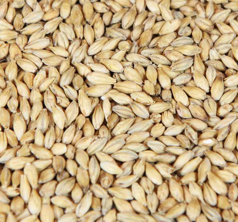 Barke® pilsnermalt (Weyermann®), hel, pall 33x25 kg - 3
